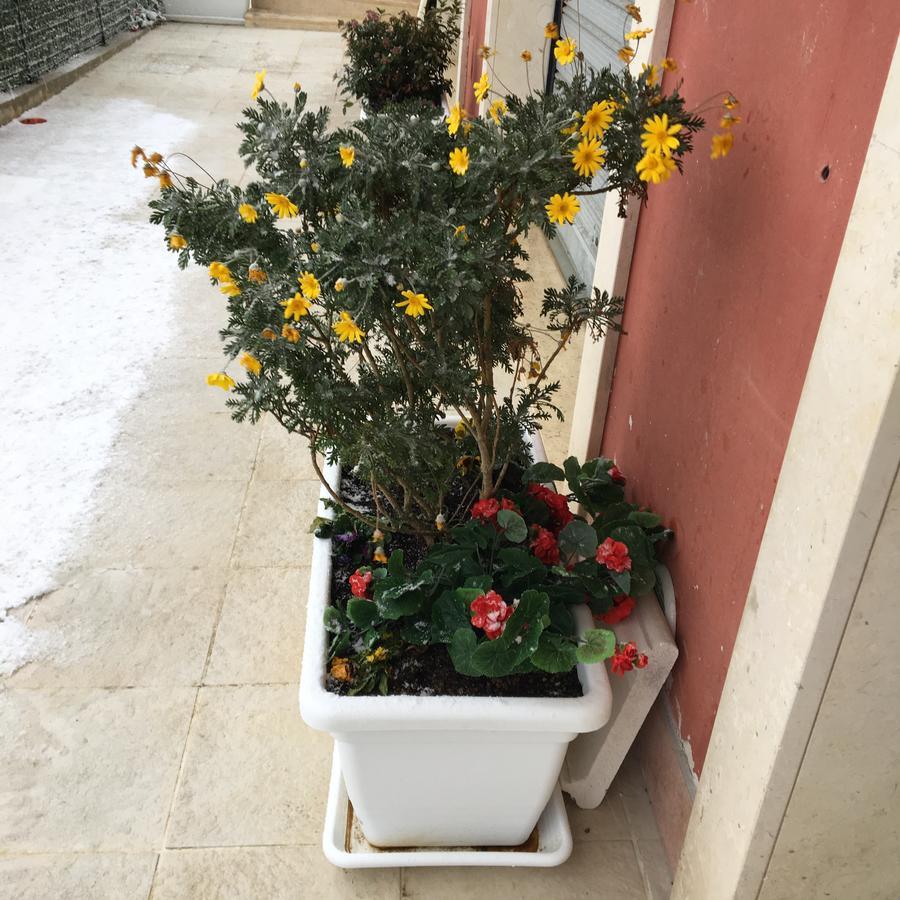 Amaranto Bnb Matera Exterior photo